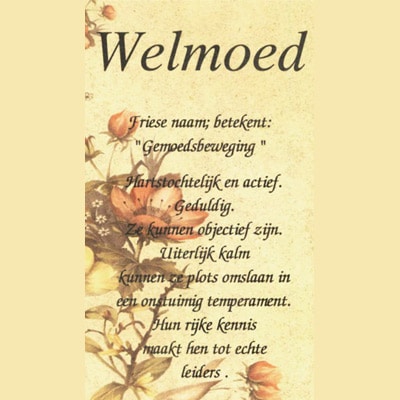 welmoed davidson